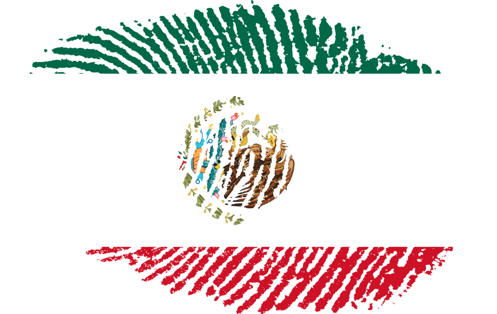 Fingerprint embedded in Mexican flg